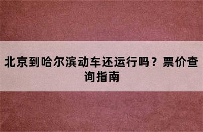 北京到哈尔滨动车还运行吗？票价查询指南