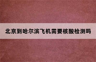 北京到哈尔滨飞机需要核酸检测吗