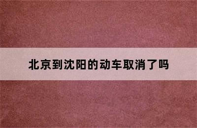 北京到沈阳的动车取消了吗