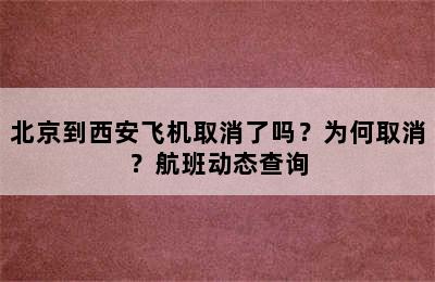 北京到西安飞机取消了吗？为何取消？航班动态查询