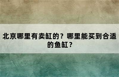 北京哪里有卖缸的？哪里能买到合适的鱼缸？