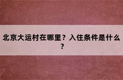 北京大运村在哪里？入住条件是什么？