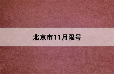 北京市11月限号