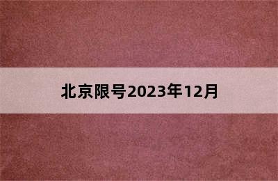 北京限号2023年12月