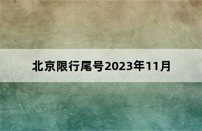 北京限行尾号2023年11月