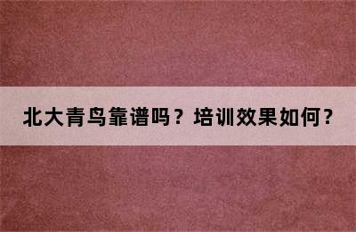 北大青鸟靠谱吗？培训效果如何？