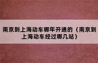 南京到上海动车哪年开通的（南京到上海动车经过哪几站）