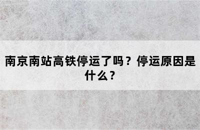 南京南站高铁停运了吗？停运原因是什么？