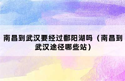 南昌到武汉要经过鄱阳湖吗（南昌到武汉途径哪些站）