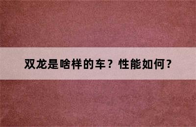 双龙是啥样的车？性能如何？