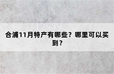 合浦11月特产有哪些？哪里可以买到？