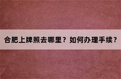 合肥上牌照去哪里？如何办理手续？