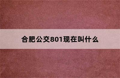 合肥公交801现在叫什么