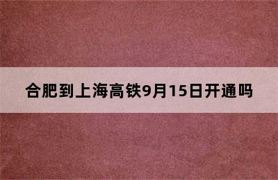 合肥到上海高铁9月15日开通吗