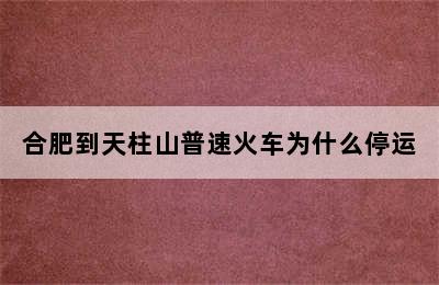 合肥到天柱山普速火车为什么停运