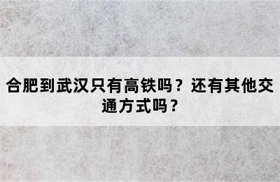 合肥到武汉只有高铁吗？还有其他交通方式吗？