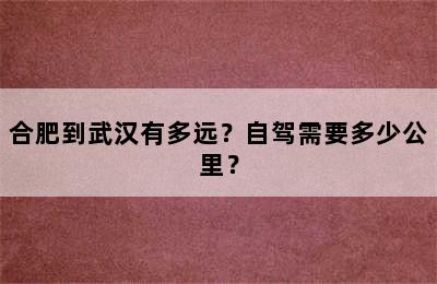 合肥到武汉有多远？自驾需要多少公里？