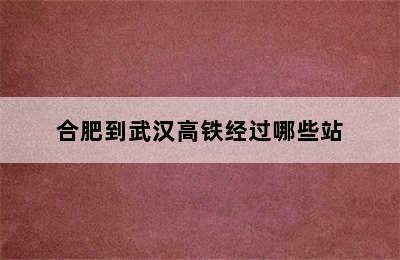 合肥到武汉高铁经过哪些站