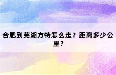 合肥到芜湖方特怎么走？距离多少公里？