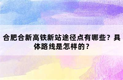 合肥合新高铁新站途径点有哪些？具体路线是怎样的？