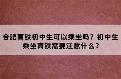 合肥高铁初中生可以乘坐吗？初中生乘坐高铁需要注意什么？