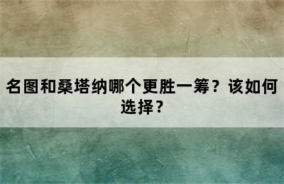 名图和桑塔纳哪个更胜一筹？该如何选择？