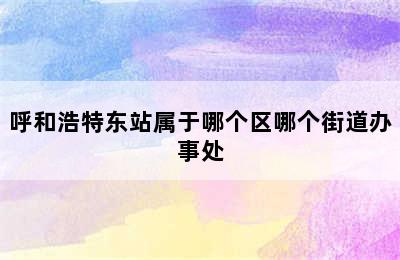 呼和浩特东站属于哪个区哪个街道办事处