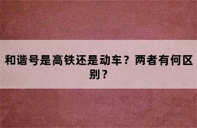 和谐号是高铁还是动车？两者有何区别？