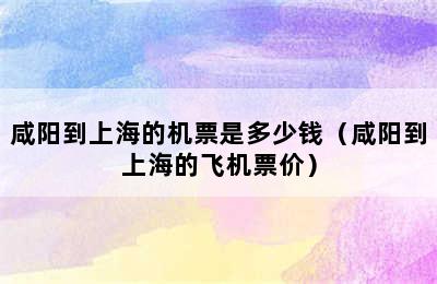 咸阳到上海的机票是多少钱（咸阳到上海的飞机票价）