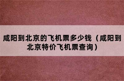 咸阳到北京的飞机票多少钱（咸阳到北京特价飞机票查询）