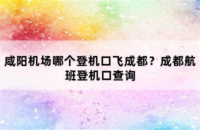 咸阳机场哪个登机口飞成都？成都航班登机口查询