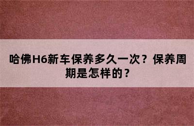 哈佛H6新车保养多久一次？保养周期是怎样的？