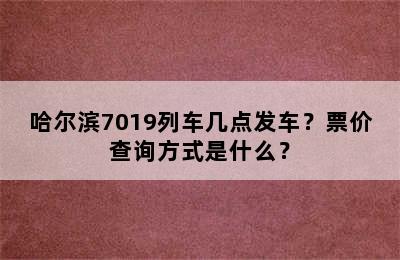 哈尔滨7019列车几点发车？票价查询方式是什么？