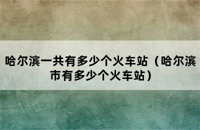 哈尔滨一共有多少个火车站（哈尔滨市有多少个火车站）