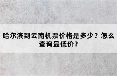 哈尔滨到云南机票价格是多少？怎么查询最低价？