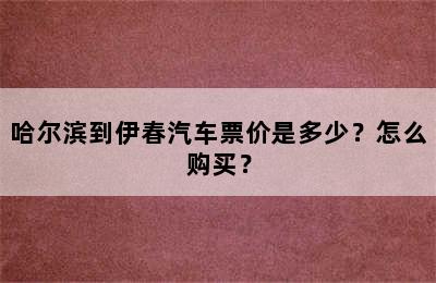 哈尔滨到伊春汽车票价是多少？怎么购买？