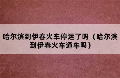 哈尔滨到伊春火车停运了吗（哈尔滨到伊春火车通车吗）