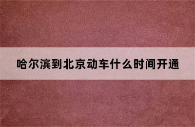 哈尔滨到北京动车什么时间开通