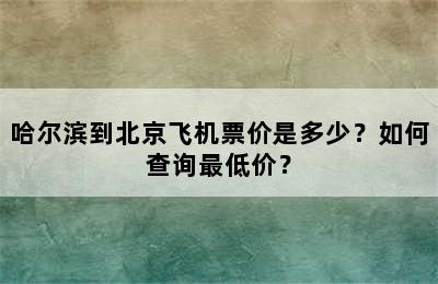 哈尔滨到北京飞机票价是多少？如何查询最低价？