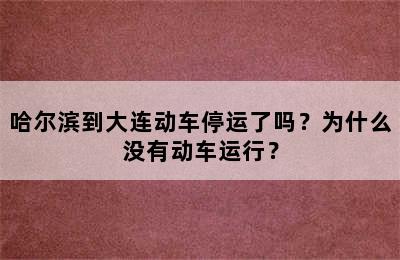 哈尔滨到大连动车停运了吗？为什么没有动车运行？