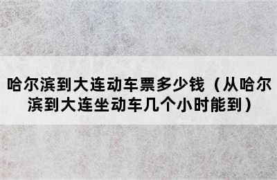 哈尔滨到大连动车票多少钱（从哈尔滨到大连坐动车几个小时能到）