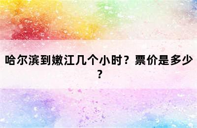 哈尔滨到嫩江几个小时？票价是多少？