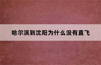 哈尔滨到沈阳为什么没有直飞