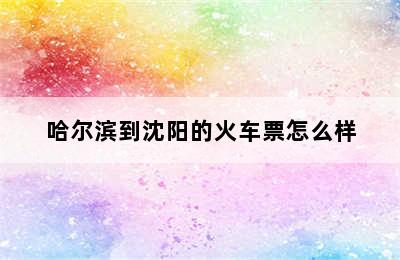 哈尔滨到沈阳的火车票怎么样