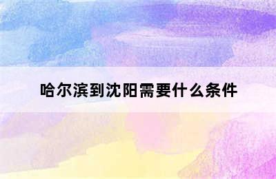 哈尔滨到沈阳需要什么条件