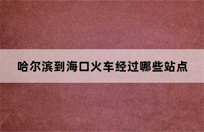 哈尔滨到海口火车经过哪些站点