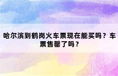 哈尔滨到鹤岗火车票现在能买吗？车票售罄了吗？