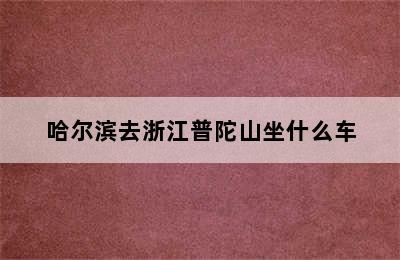 哈尔滨去浙江普陀山坐什么车