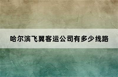 哈尔滨飞翼客运公司有多少线路