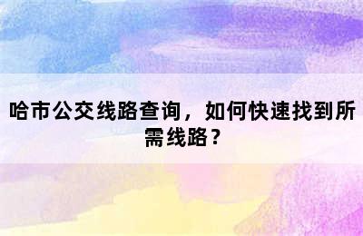 哈市公交线路查询，如何快速找到所需线路？